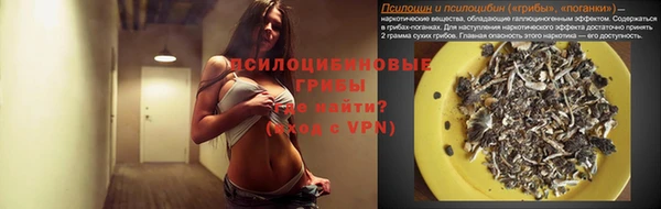 спиды Абаза