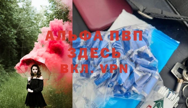 спиды Абаза